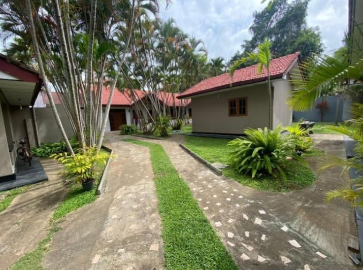 Blue Bell Hotel Negombo Exterior foto